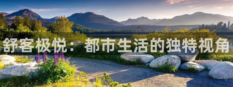 今年会2登录地址：舒客极悦：都市生活的独特视角