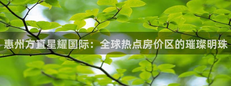 今年会平台开户链接：惠州方直星耀国际：全球热点房价区的璀璨明珠