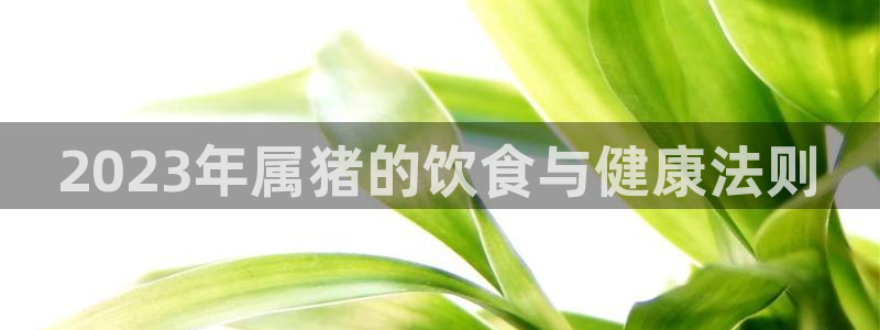 今年会体育热门赛事有哪些：2023年属猪的饮食与健康法则