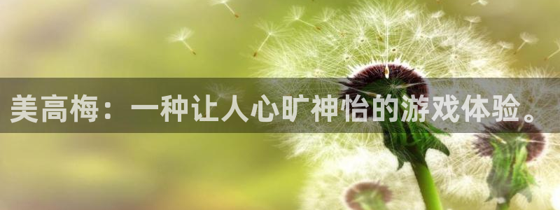 今年会体育平台总代理：美高梅：一种让人心旷神怡的游戏体验。