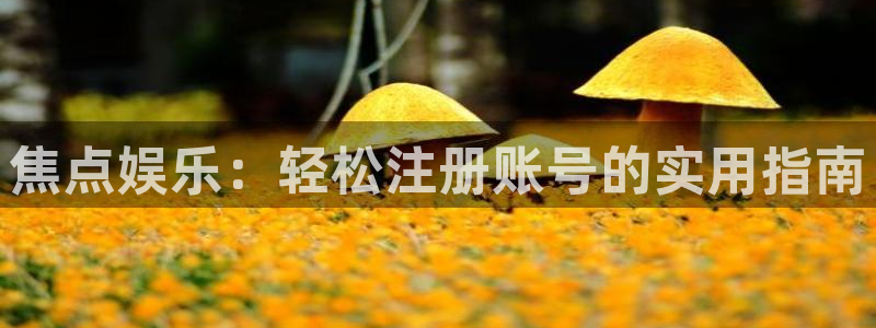 福建今年会机电股份公司：焦点娱乐：轻松注册账号的实用指南