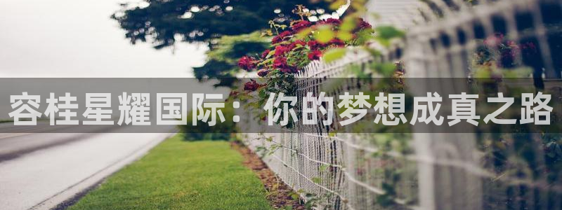 今年会体育官网注册：容桂星耀国际：你的梦想成真之路