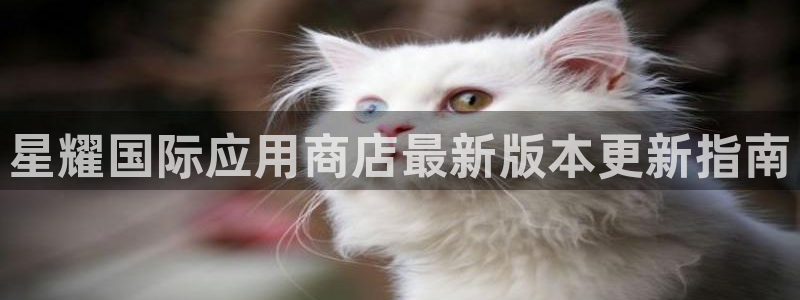 今年会体育eon：星耀国际应用商店最新版本更新指南