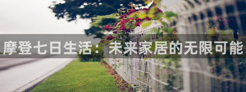 今年会加拿大官网：摩登七日生活：未来家居的无限可能