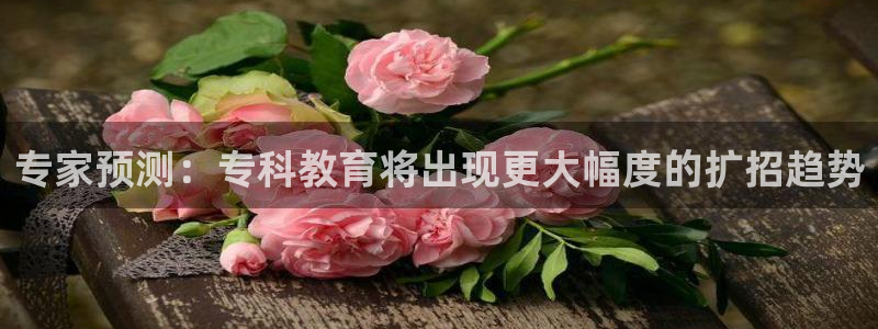 今年会有梦你就来：专家预测：专科教育将出现更大幅度的扩招趋势
