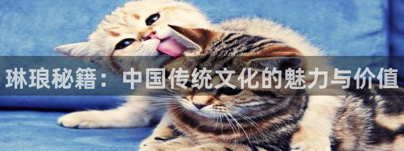 今年会有梦你就来：琳琅秘籍：中国传统文化的魅力与价值
