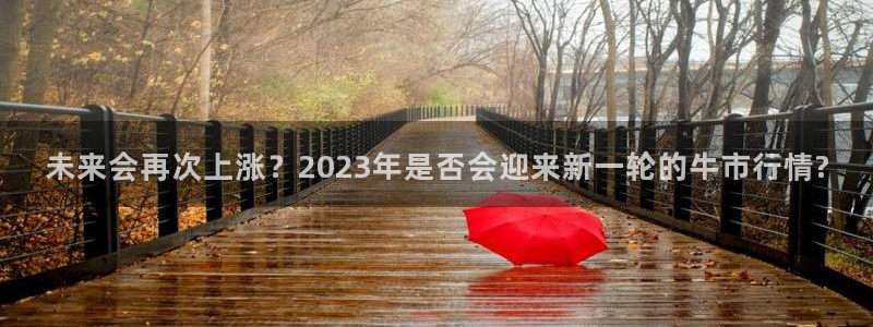 今年会平台官方入口：未来会再次上涨？2023年是否会迎来新一轮的牛市行情?