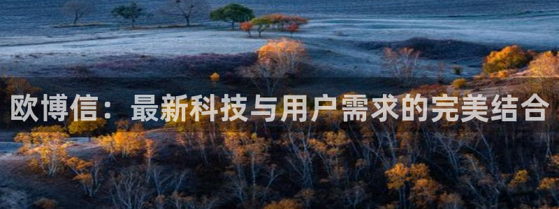 今年会体育凯捷平台主管：欧博信：最新科技与用户需求的完美结合
