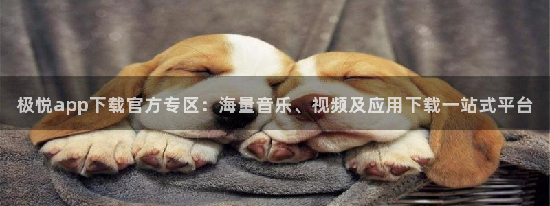 今年会体育f开户：极悦app下载官方专区：海量音乐、视频及应用下载一站式平台