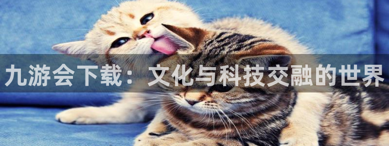 今年会登录界面入口：九游会下载：文化与科技交融的世界