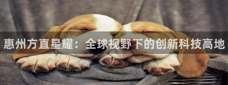 今年会：惠州方直星耀：全球视野下的创新科技高地