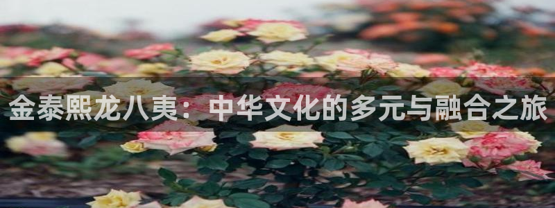 今年会平台官方入口：金泰熙龙八夷：中华文化的多元与融合之旅