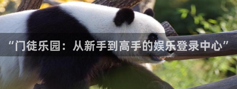 今年会是啥：“门徒乐园：从新手到高手的娱乐登录中心”