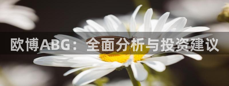 今年会体育官网注册：欧博ABG：全面分析与投资建议