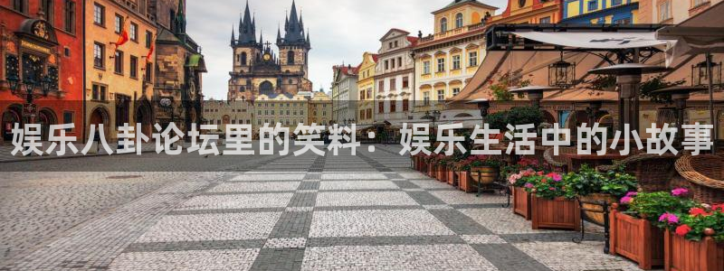 今年会在线下载：娱乐八卦论坛里的笑料：娱乐生活中的小故事