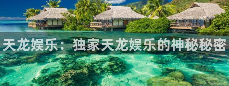 今年会3登陆：天龙娱乐：独家天龙娱乐的神秘秘密