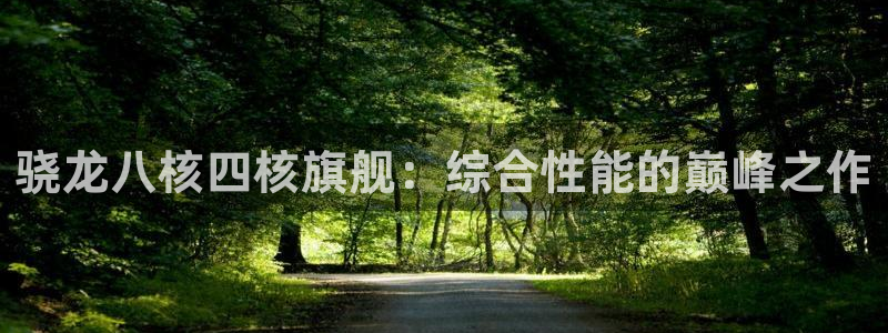 今年会平台招商：骁龙八核四核旗舰：综合性能的巅峰之作