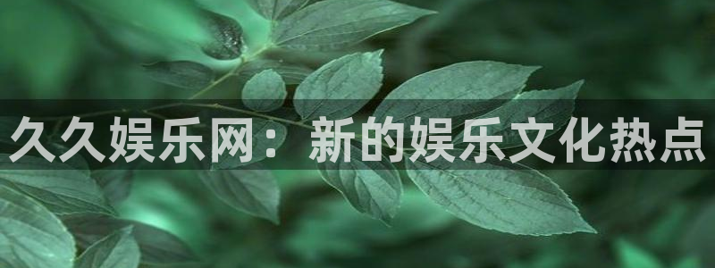 今年会登陆：久久娱乐网：新的娱乐文化热点