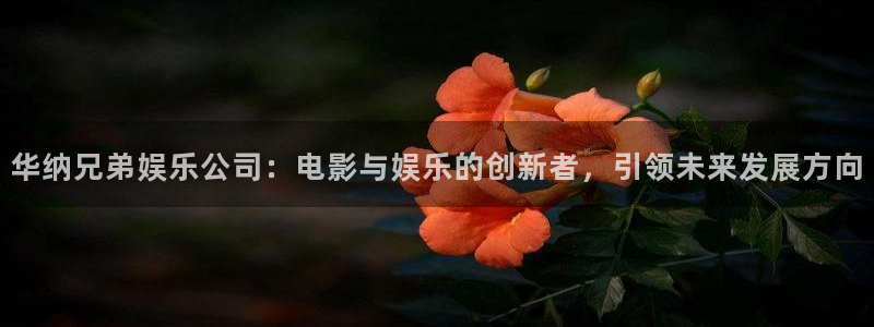 今年会包怎么样：华纳兄弟娱乐公司：电影与娱乐的创新者，引领未来发展方向