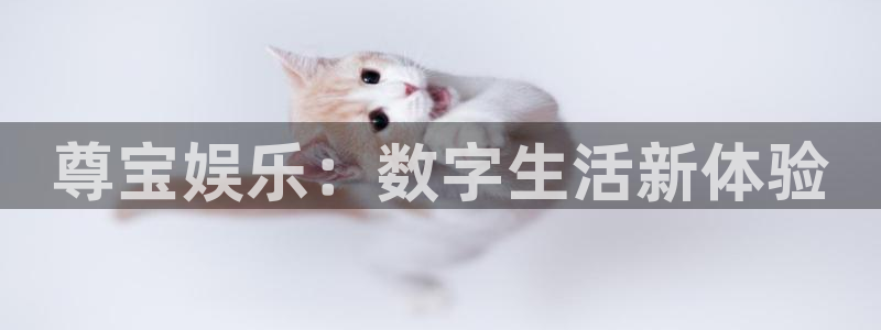 今年会体育网页版入口：尊宝娱乐：数字生活新体验
