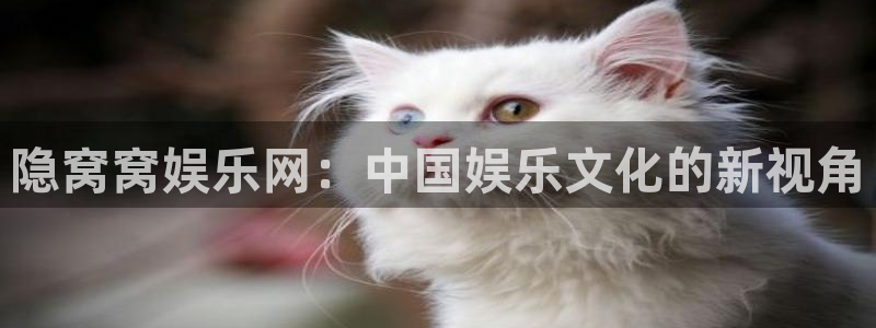 今年会集团总部：隐窝窝娱乐网：中国娱乐文化的新视角