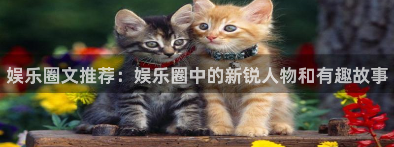 今年会注册网站：娱乐圈文推荐：娱乐圈中的新锐人物和有趣故事