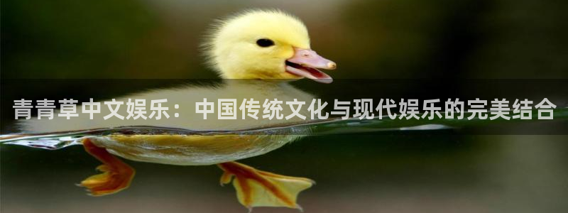pg今年会平台下载入口：青青草中文娱乐：中国传统文化与现代娱乐的完美结合