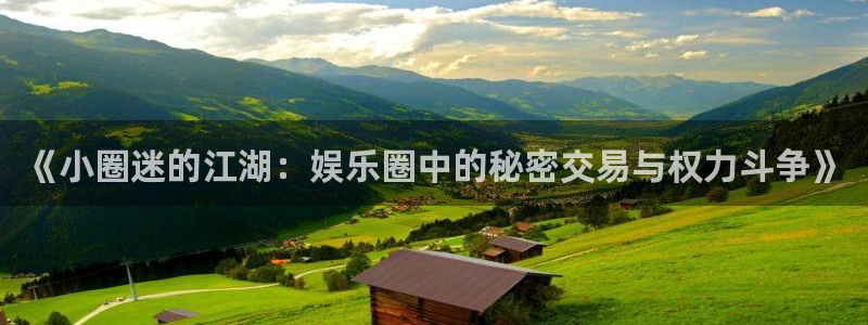今年会手机客户端下载安装：《小圈迷的江湖：娱乐圈中的秘密交易与权力斗争》
