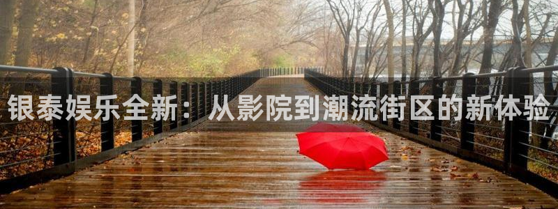 今年会分红代理计划：银泰娱乐全新：从影院到潮流街区的新体验