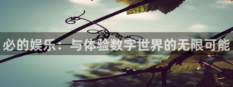 今年会4官网：必的娱乐：与体验数字世界的无限可能