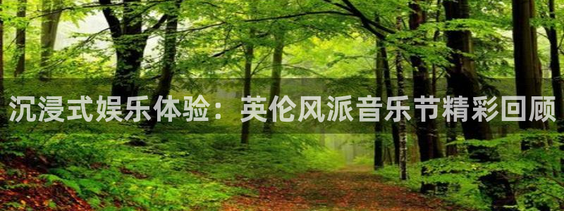 今年会体育平台总代理：沉浸式娱乐体验：英伦风派音乐节精彩回顾