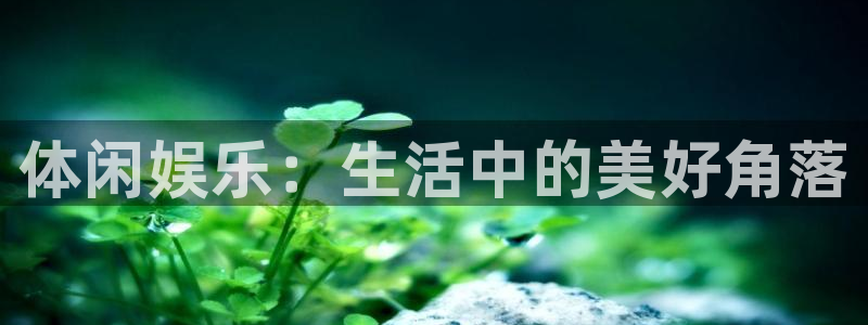 今年会平台链接：体闲娱乐：生活中的美好角落