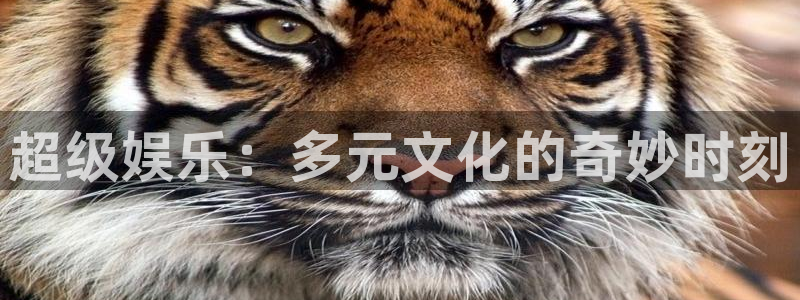 今年会体育官网注册：超级娱乐：多元文化的奇妙时刻