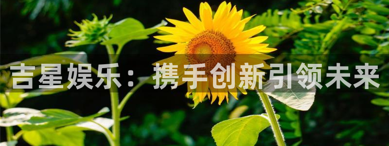 今年会体育f开号：吉星娱乐：携手创新引领未来