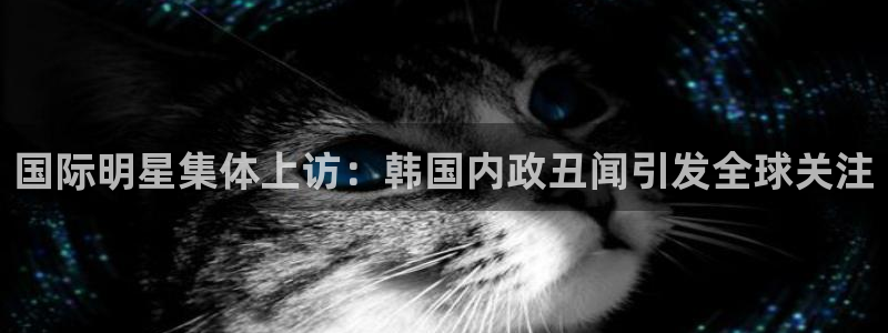 今年会网站登录流程：国际明星集体上访：韩国内政丑闻引发全球关注