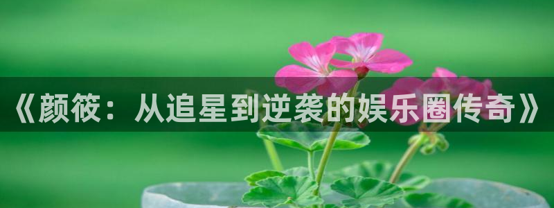 今年会平台官网入口下载：《颜筱：从追星到逆袭的娱乐圈传奇》