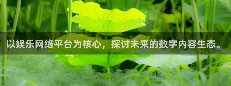 今年会游戏官网平台入口：以娱乐网络平台为核心，探讨未来的数字内容生态。