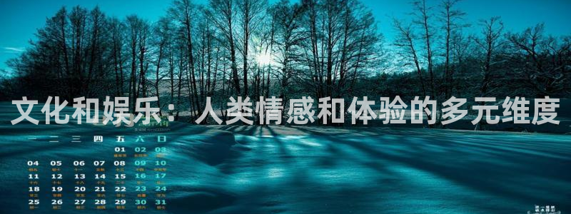 今年会登录界面入口：文化和娱乐：人类情感和体验的多元维度