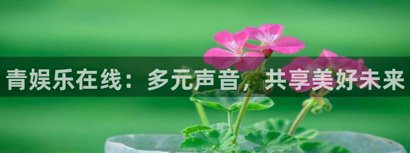 今年会是啥：青娱乐在线：多元声音，共享美好未来