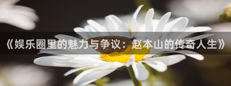 今年会电子游戏：《娱乐圈里的魅力与争议：赵本山的传奇人生》