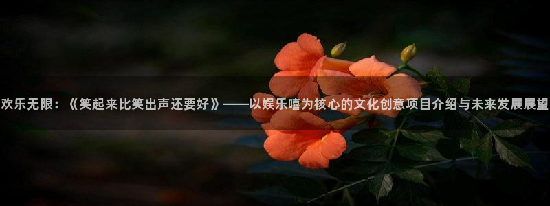 今年会3代理：欢乐无限：《笑起来比笑出声还要好》——以娱乐嘻为核心的文化创意项目