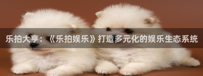 今年会集团官网：乐拍大亨：《乐拍娱乐》打造多元化的娱乐生态系统