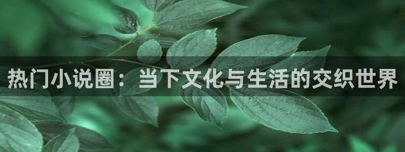 今年会体育注册代理：热门小说圈：当下文化与生活的交织世界