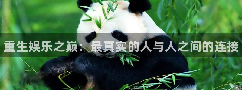 今年会娱乐：重生娱乐之巅：最真实的人与人之间的连接