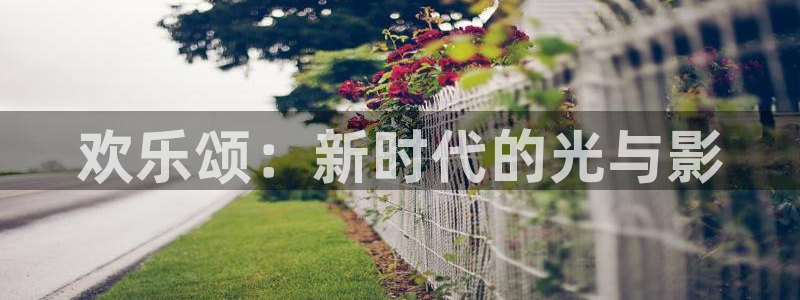 今年会3：欢乐颂：新时代的光与影