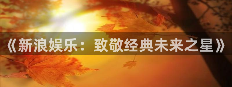 福建今年会机电股份公司：《新浪娱乐：致敬经典未来之星》