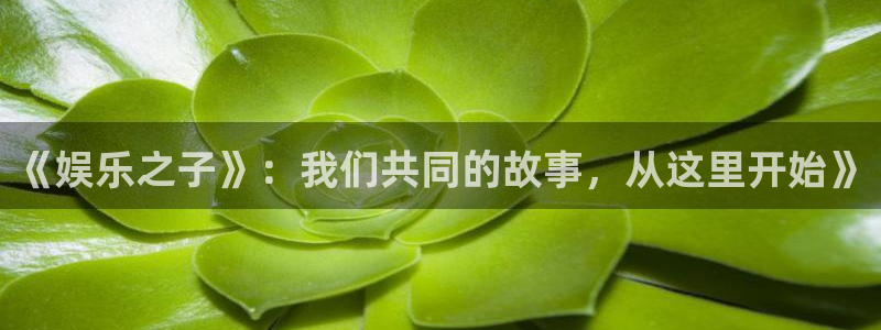 今年会游戏官网入口：《娱乐之子》：我们共同的故事，从这里开始》