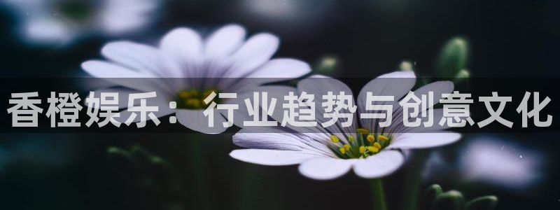 今年会体育凯捷平台代理