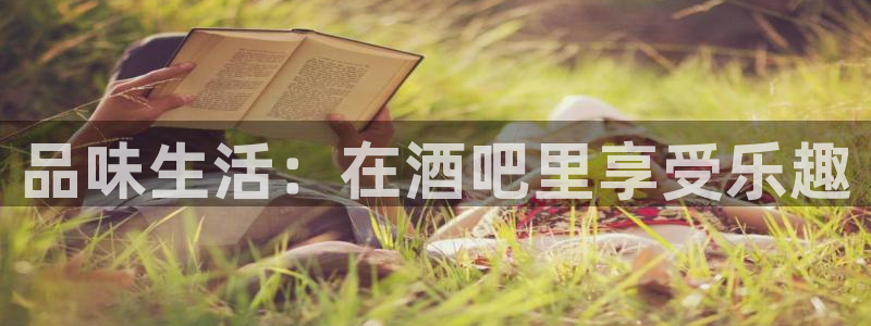 今年会网页版：品味生活：在酒吧里享受乐趣