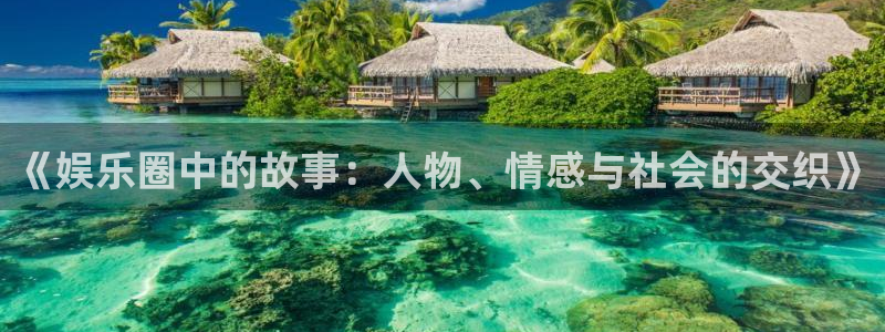 今年会2官网：《娱乐圈中的故事：人物、情感与社会的交织》